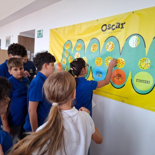 Colegiul Național Liviu Rebreanu (6)