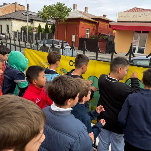 Școala Gimnazială Carol I (6)